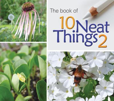 The Book of 10 Neat Things 2