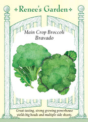 Broccoli Bravado