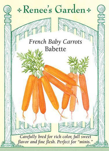 Carrot Baby Babette French