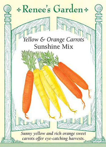Carrot Sunshine Orange & Yellow