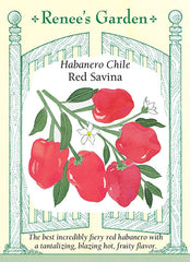 Pepper Chili Habanero Red Savina