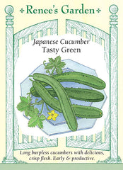 Cucumber Tasty Green Japanese