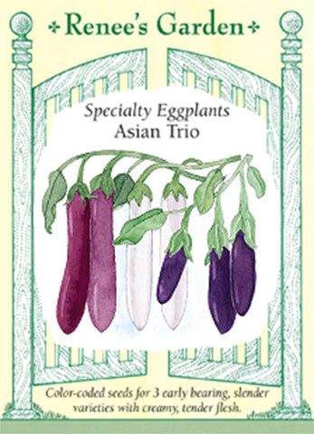 Eggplant Asian Trio