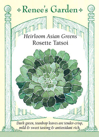 Greens - Asian Rosette Tatsoi