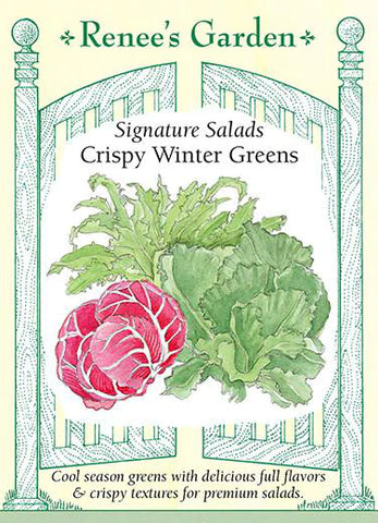 Greens Crispy Winter Salad