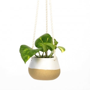 Hanging Pot Wht/Speckle Small