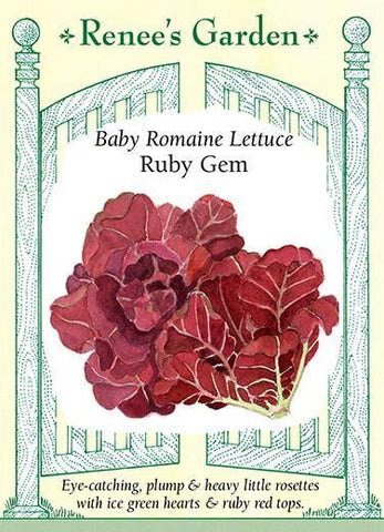 Lettuce Romaine Ruby Gem