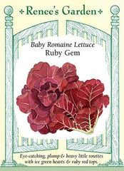 Lettuce Romaine Ruby Gem