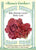 Lettuce Romaine Ruby Gem
