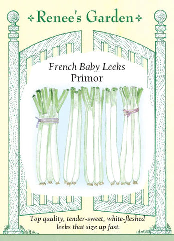 Leek Primer French Baby