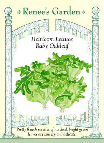 Lettuce Baby Oakleaf