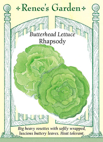 Lettuce Rhapsody Butterhead