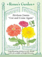 Zinnia Cut & Come Again