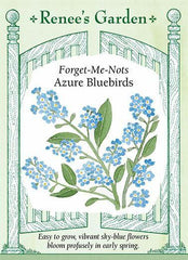 Forget-Me-Nots Azure Bluebirds