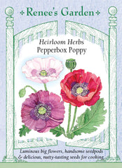 Poppy Pepperbox