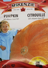 Pumpkin Dill's Atlantic Giant