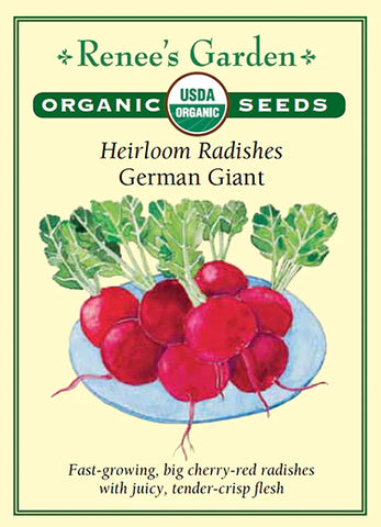 Radish German Giant Organic