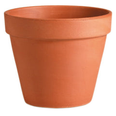 Terracotta Pot 6" (15cm)