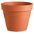 Terracotta Pot 6" (15cm)