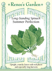 Spinach Summer Perfection
