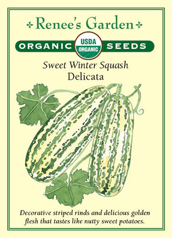 Squash Winter Delicata Organic