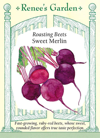 Beet  Sweet Merlin