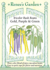 Bean Bush Tricolor