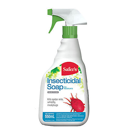 Safers Insect Soap RTU 1L