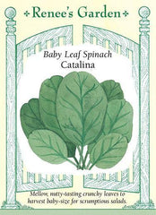 Spinach Catalina Baby Leaf